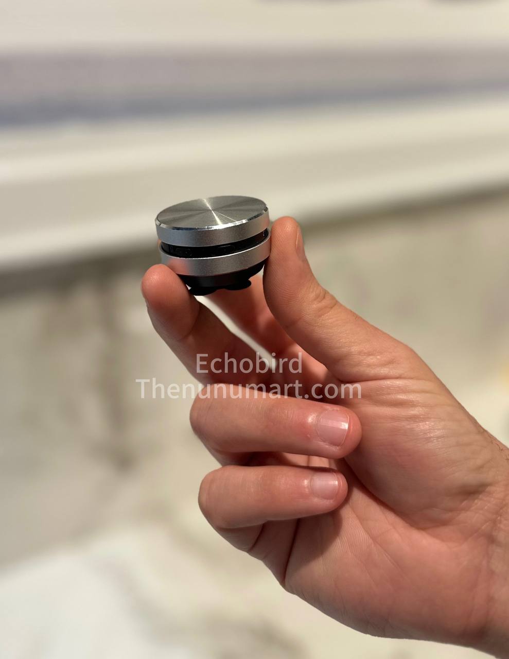 EchoBird Mini Speaker - Silver
