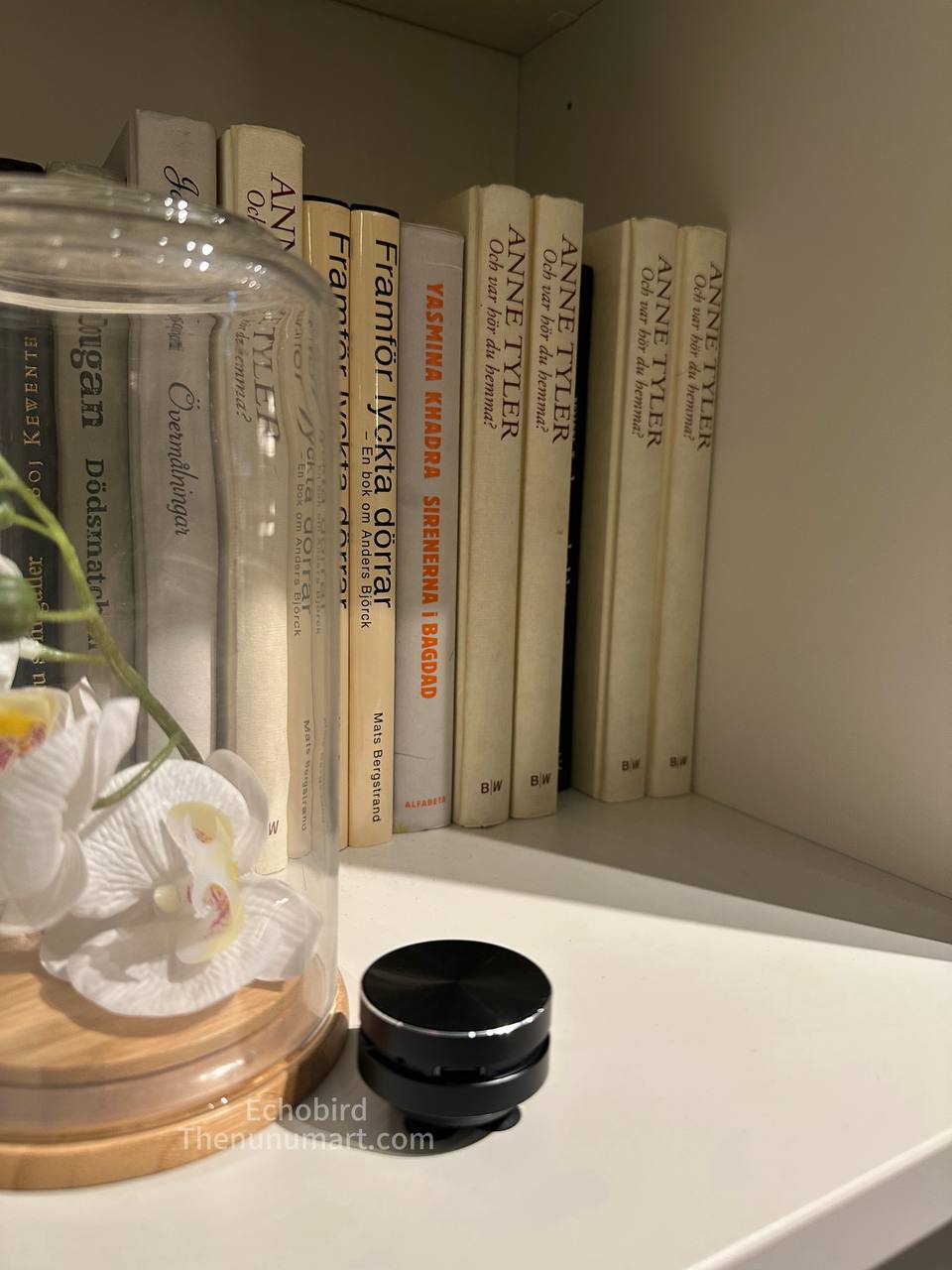 EchoBird Mini Speaker - Black