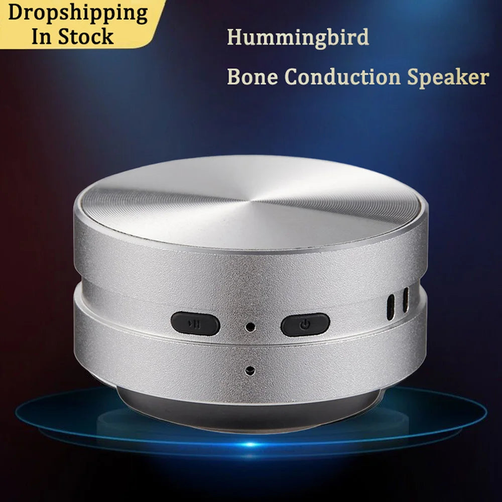 EchoBird Mini Speaker - Silver
