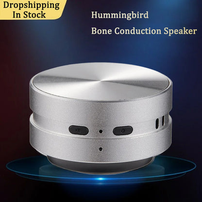 EchoBird Mini Speaker - Silver