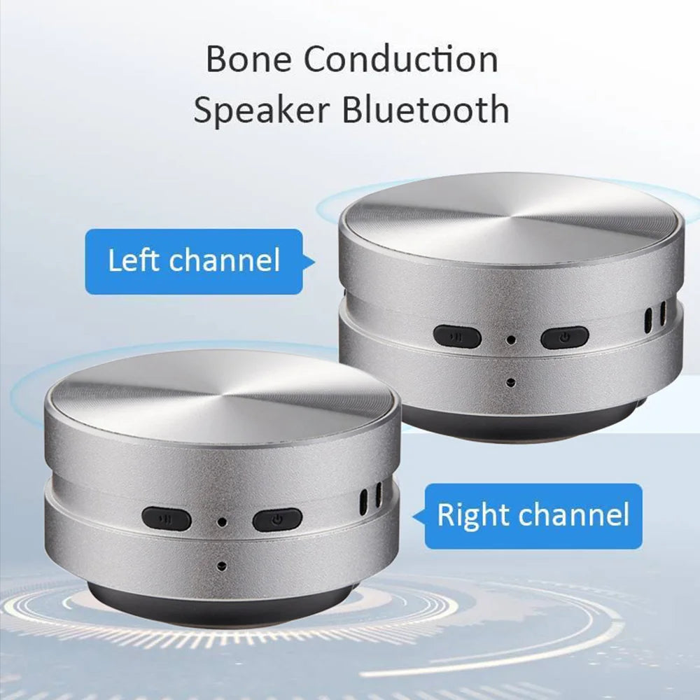 EchoBird Mini Speaker - Silver