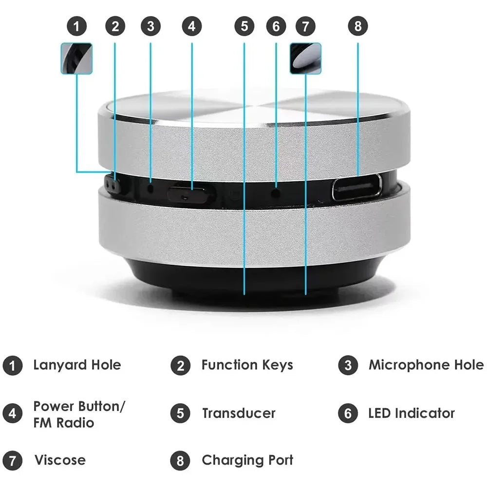 EchoBird Mini Speaker - Silver